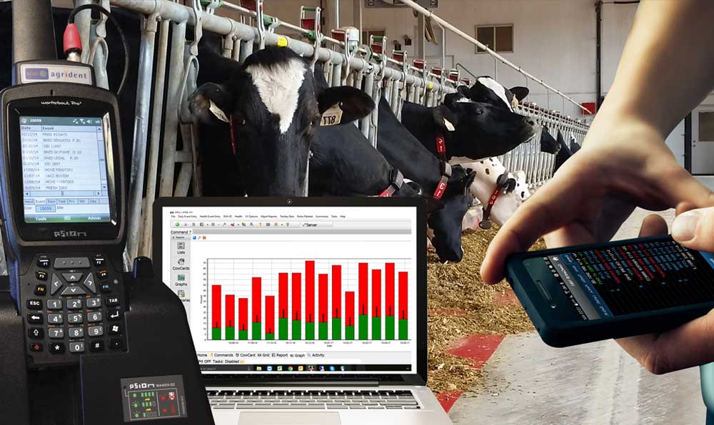 best dairy herd management software